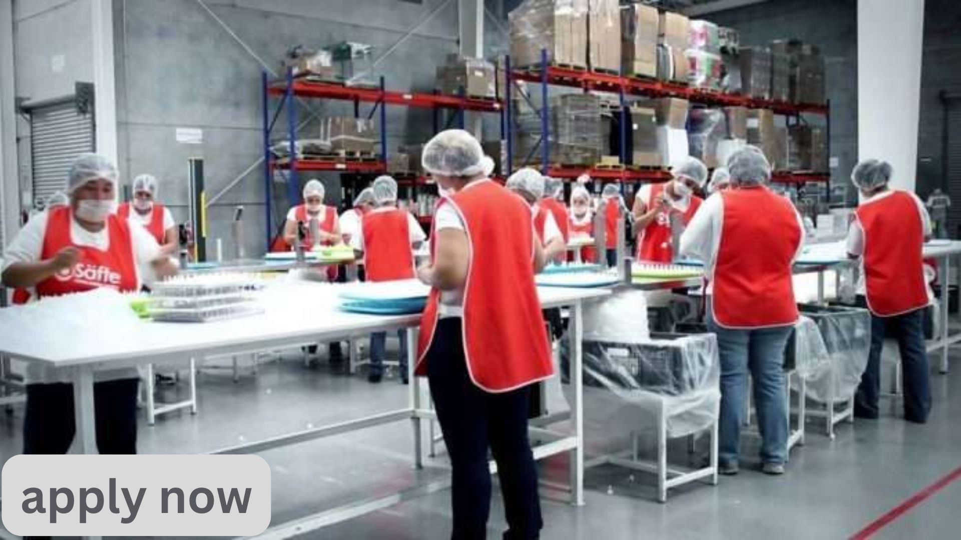 Factory and Industrial Packing Jobs in Norway 2025